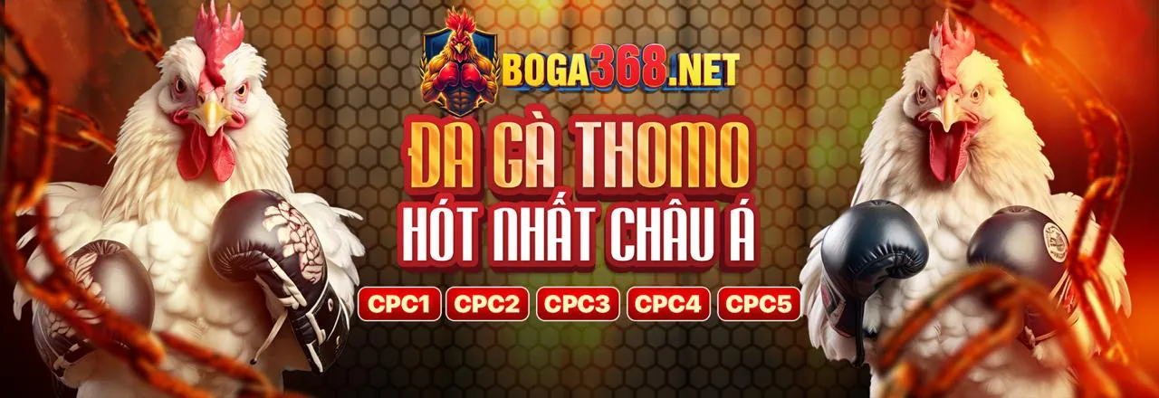 Đá Gà New66 Bắn Cá Trực Tuyến