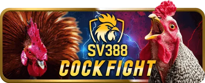 Thưởng nạp lại NEW66 hàng tuần